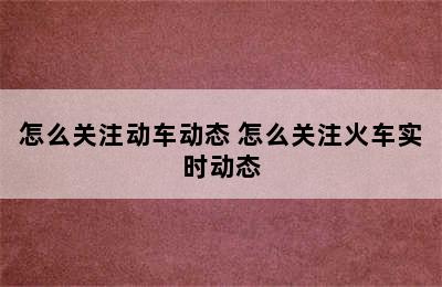 怎么关注动车动态 怎么关注火车实时动态